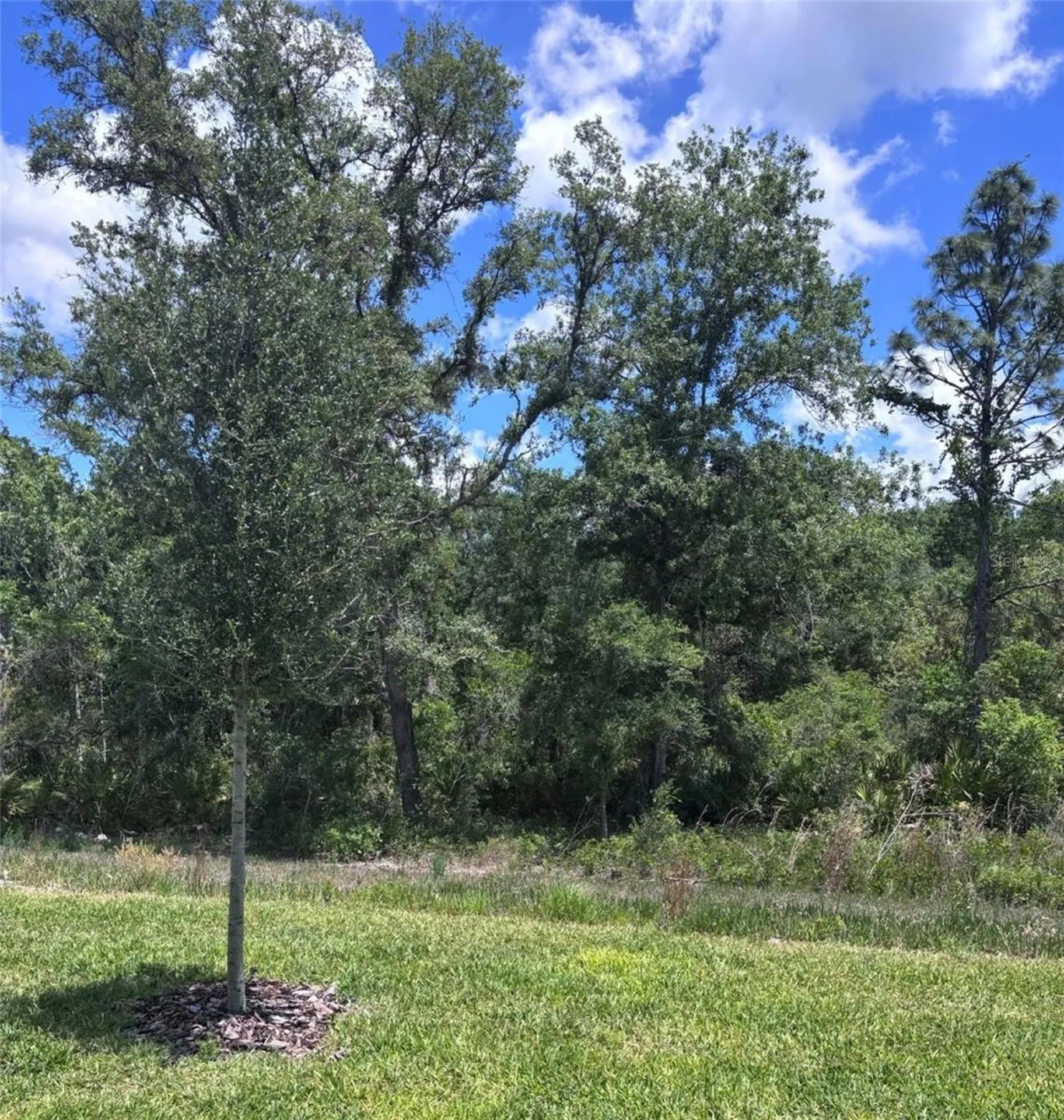 13630 Canyon Ridge Road Spring Hill FL 34610