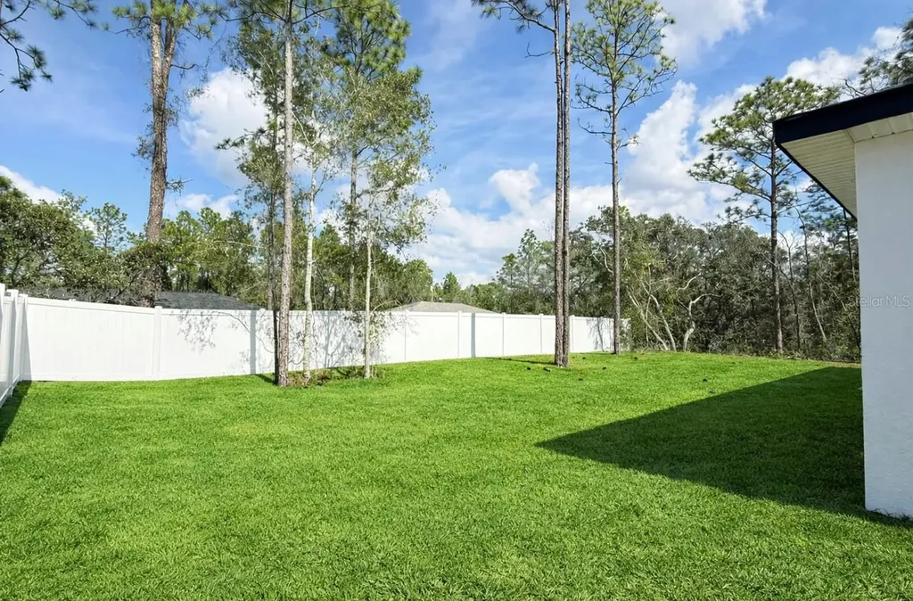 2433 W Andromedae Drive Citrus Springs FL 34433