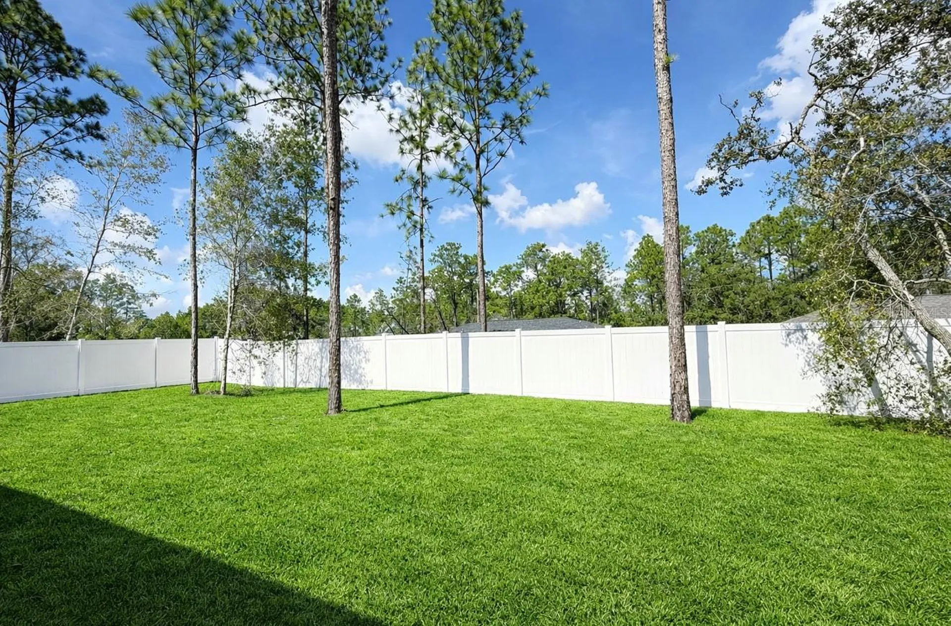 2433 W Andromedae Drive Citrus Springs FL 34433