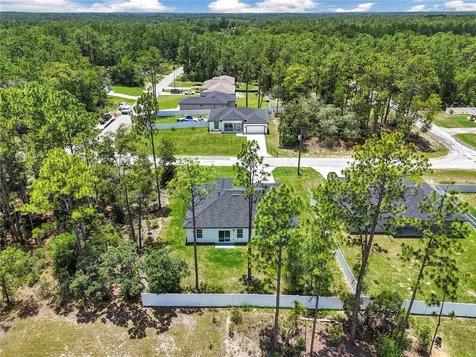 2433 W Andromedae Drive Citrus Springs FL 34433