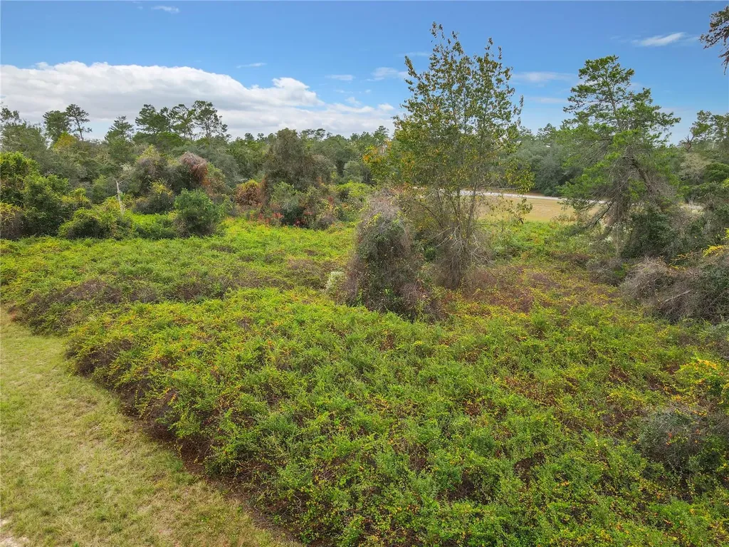 SW 32nd Circle Ocala FL 34473
