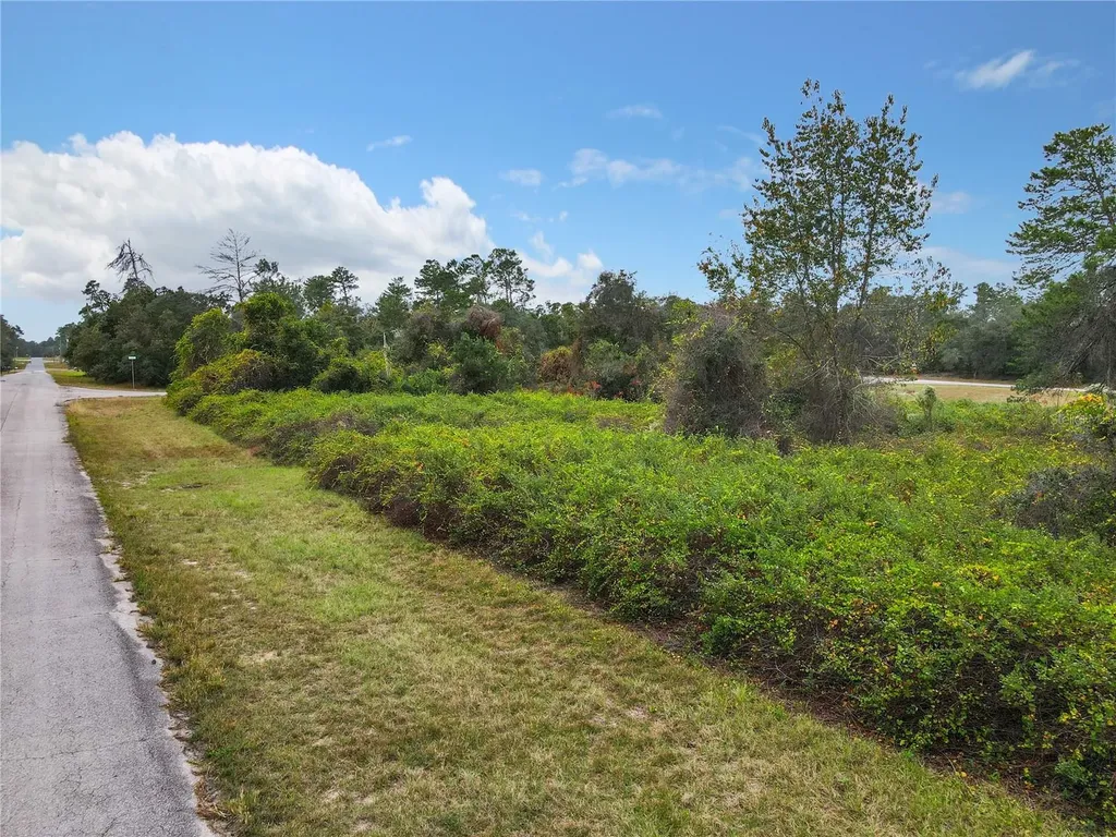 SW 32nd Circle Ocala FL 34473