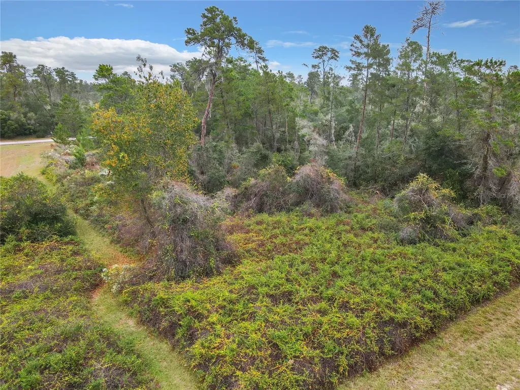SW 32nd Circle Ocala FL 34473