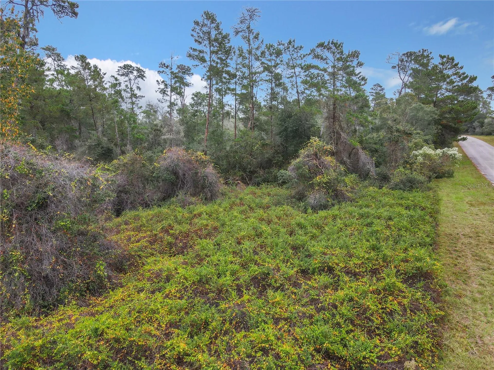 SW 32nd Circle Ocala FL 34473
