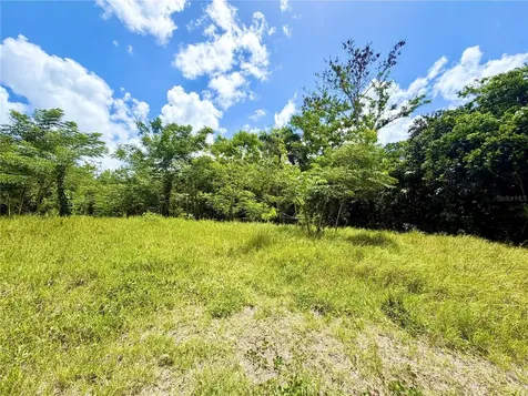 Carr 368 Bo.machuchal Sabana Grande PR 00637