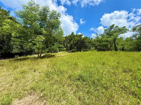 Carr 368 Bo.machuchal Sabana Grande PR 00637