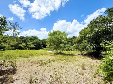 Carr 368 Bo.machuchal Sabana Grande PR 00637