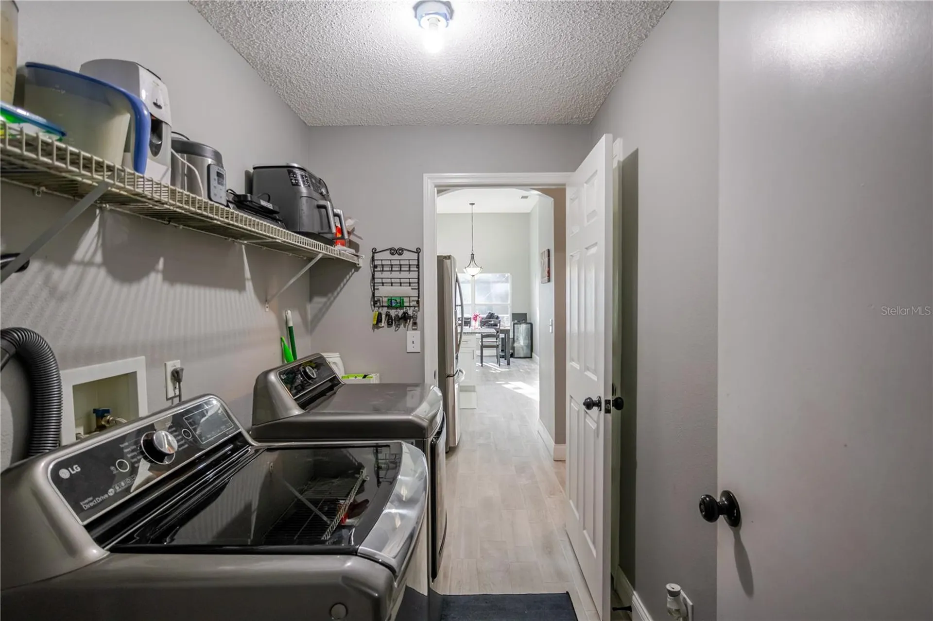 1001 English Bluffs Court Brandon FL 33511