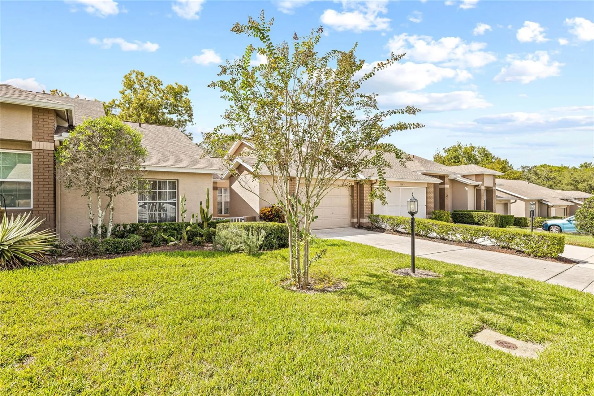 7343 Willow Brook Drive Spring Hill FL 34606