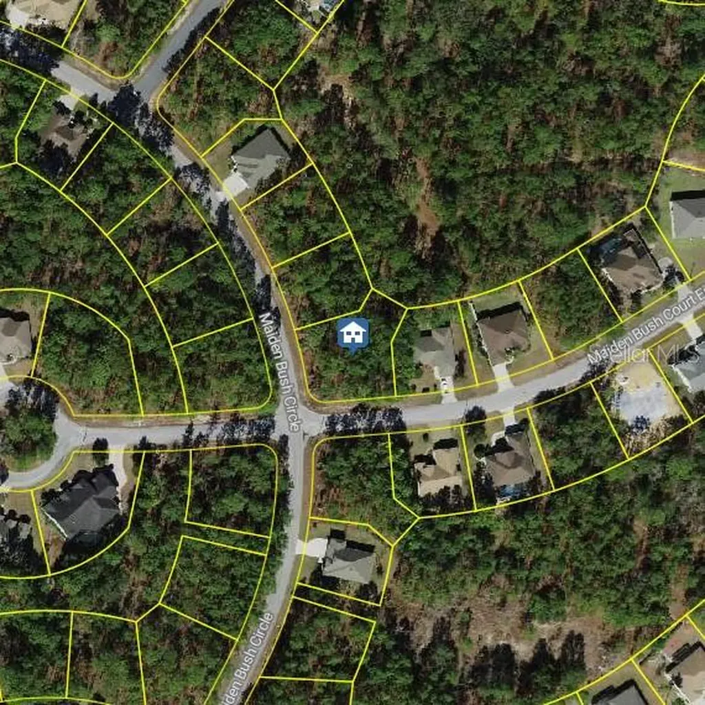 2 Maidenbush Court E Homosassa FL 34446