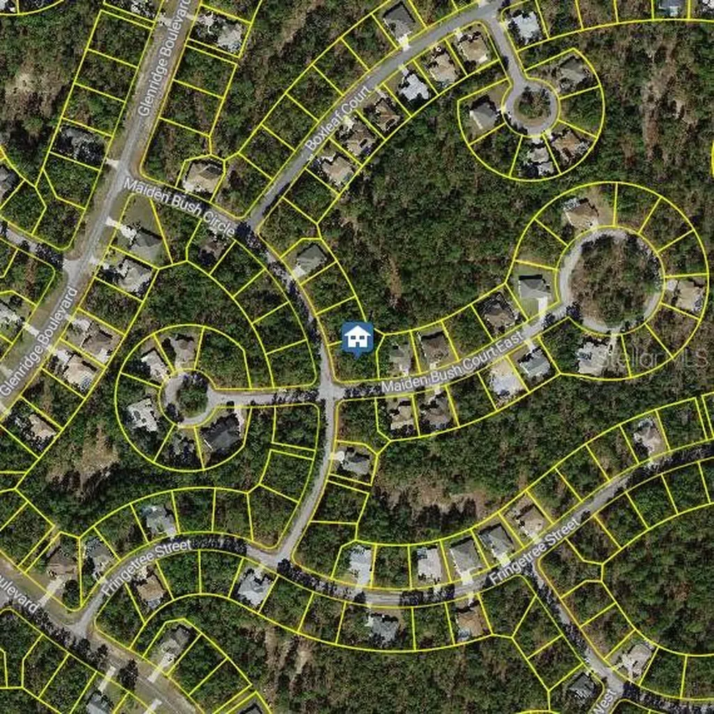 2 Maidenbush Court E Homosassa FL 34446