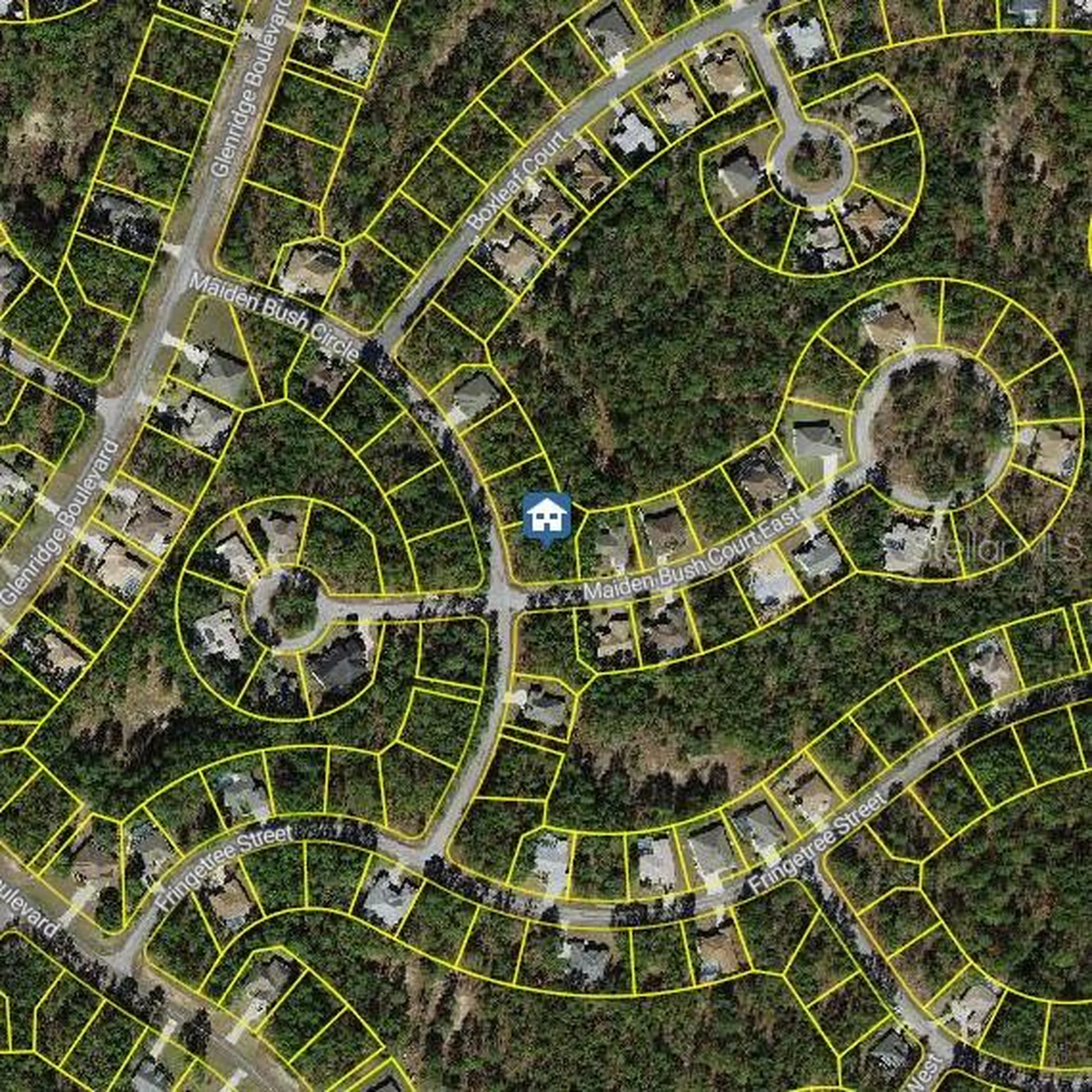 2 Maidenbush Court E Homosassa FL 34446