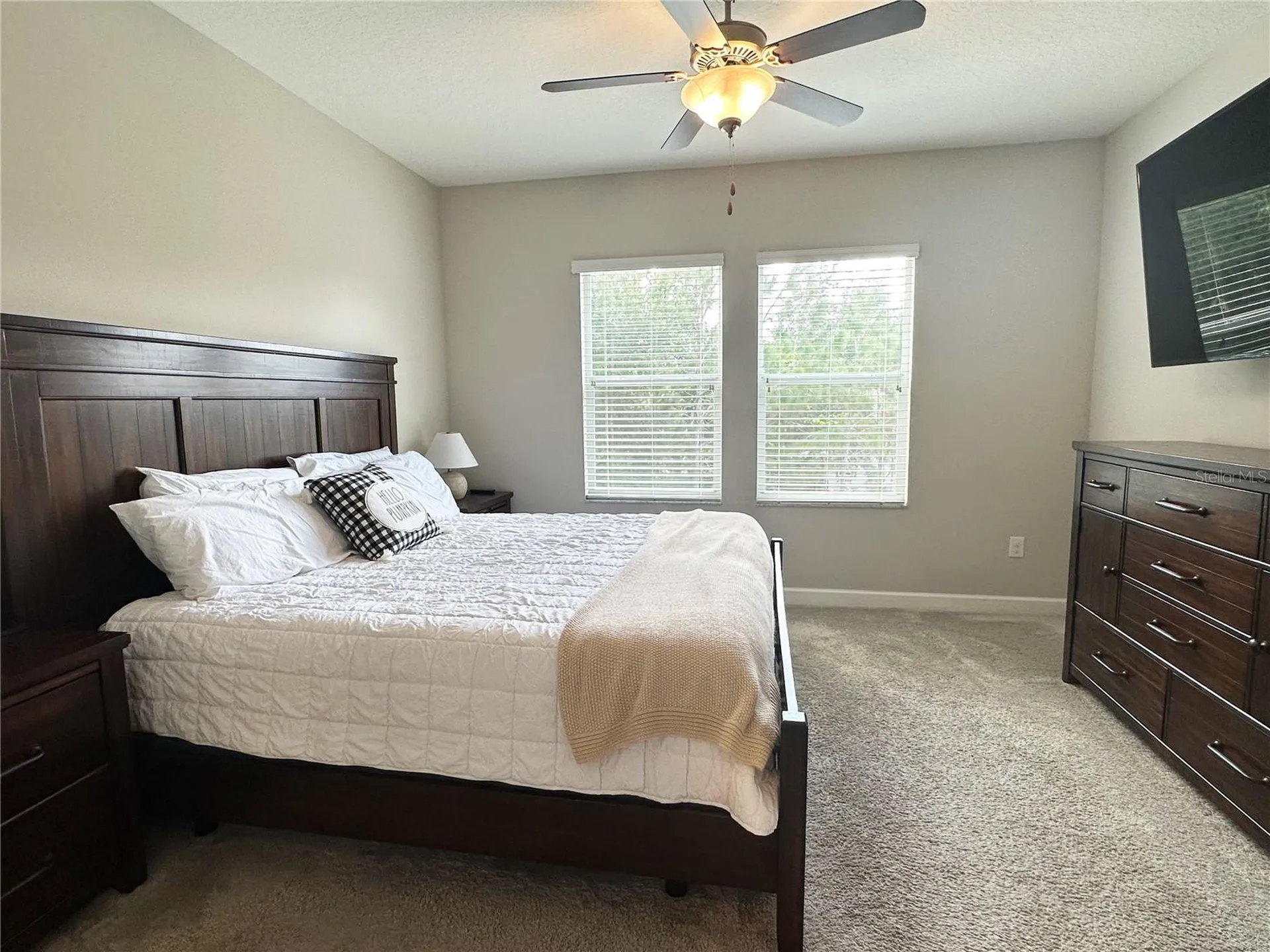 6642 Rocky Park Street Tampa FL 33625
