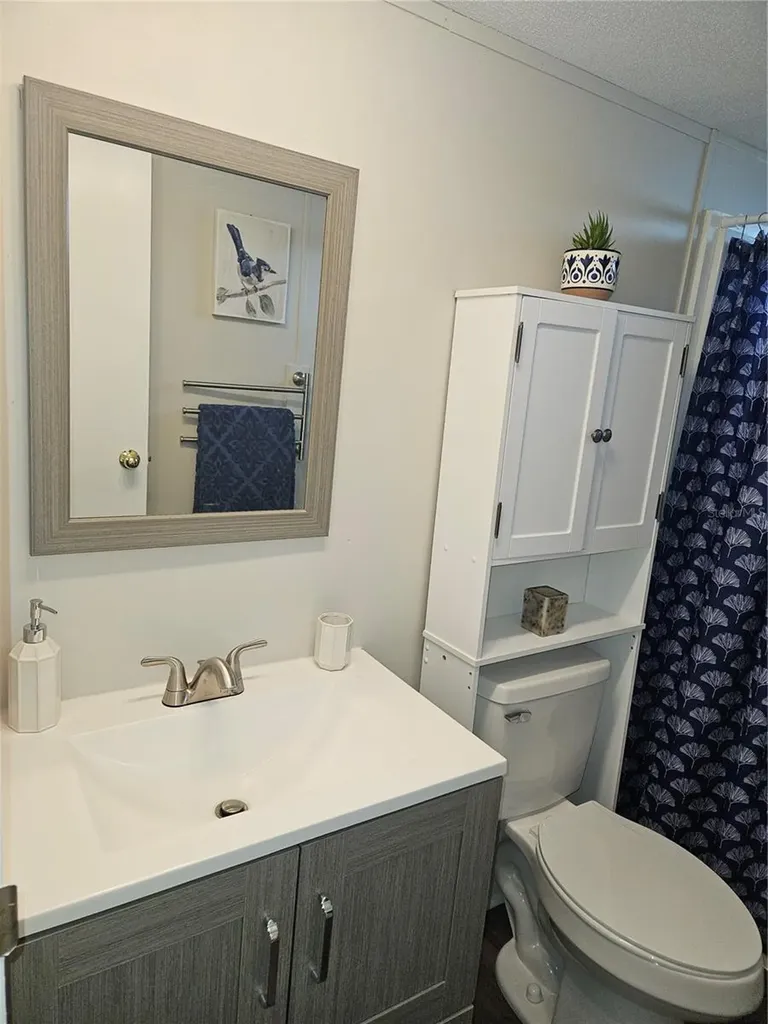 3130 Great Oak Street Wesley Chapel FL 33543