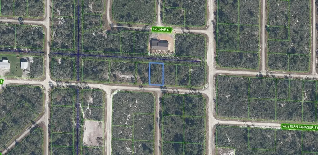 3507 & 3509 Jamboree Street Lake Placid FL 33852