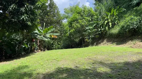 Km 2.4 Carr 402 Anasco PR 00610