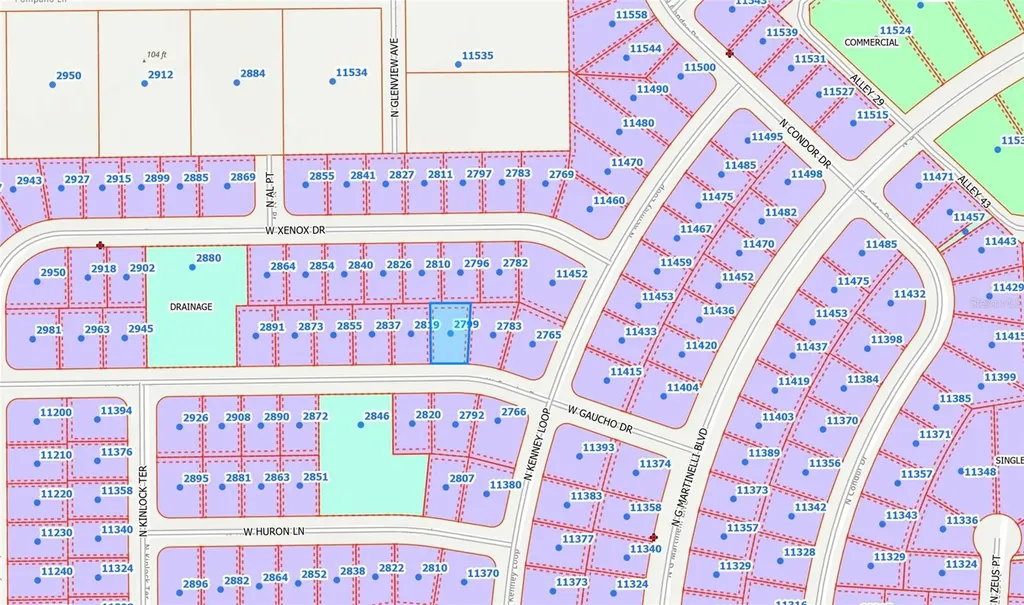 2799 W Gaucho Drive Citrus Springs FL 34434