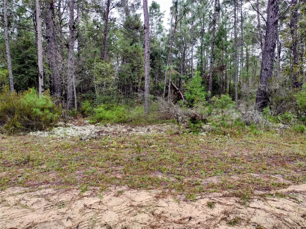 165 7th Way Interlachen FL 32148