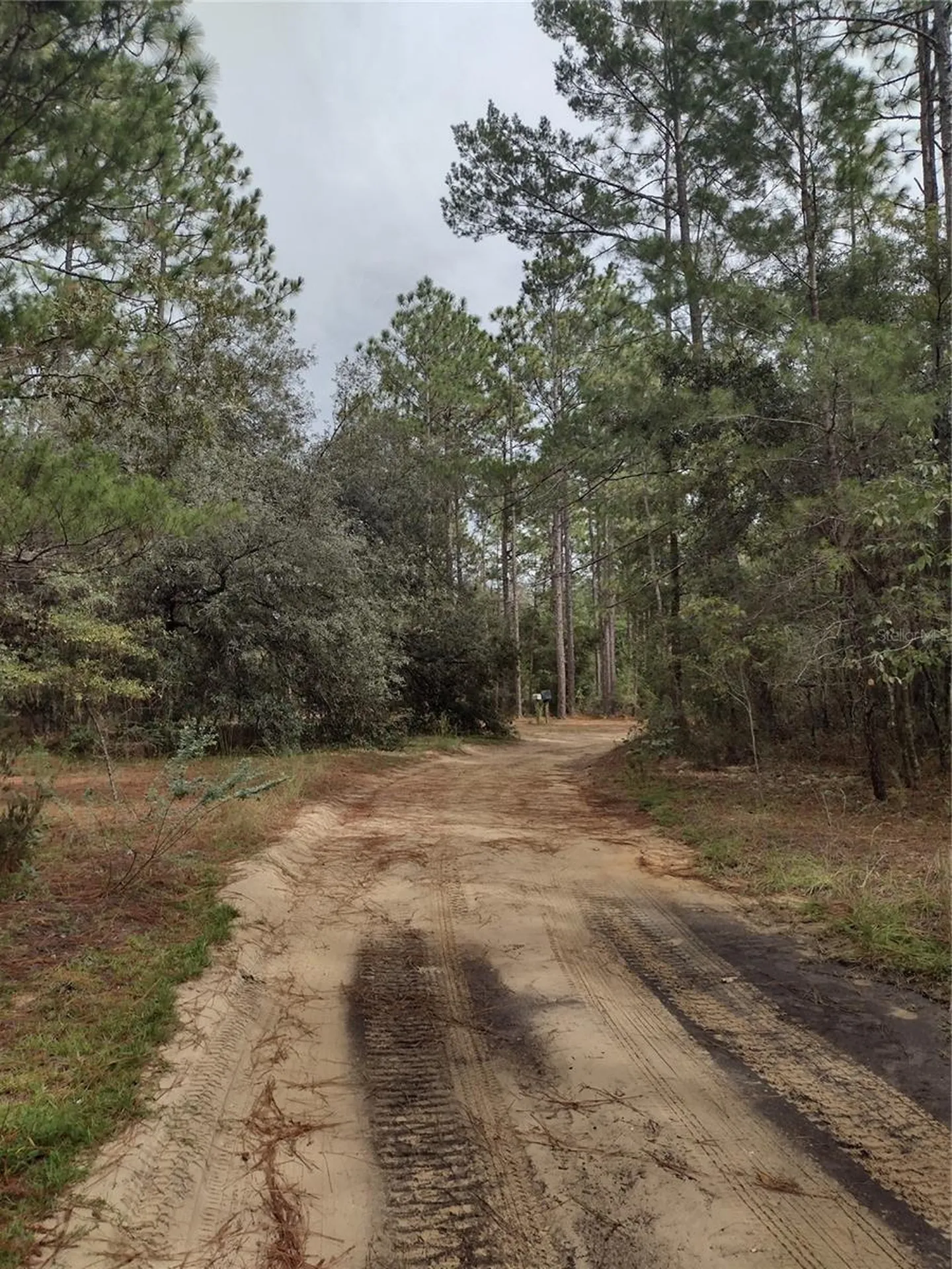165 7th Way Interlachen FL 32148