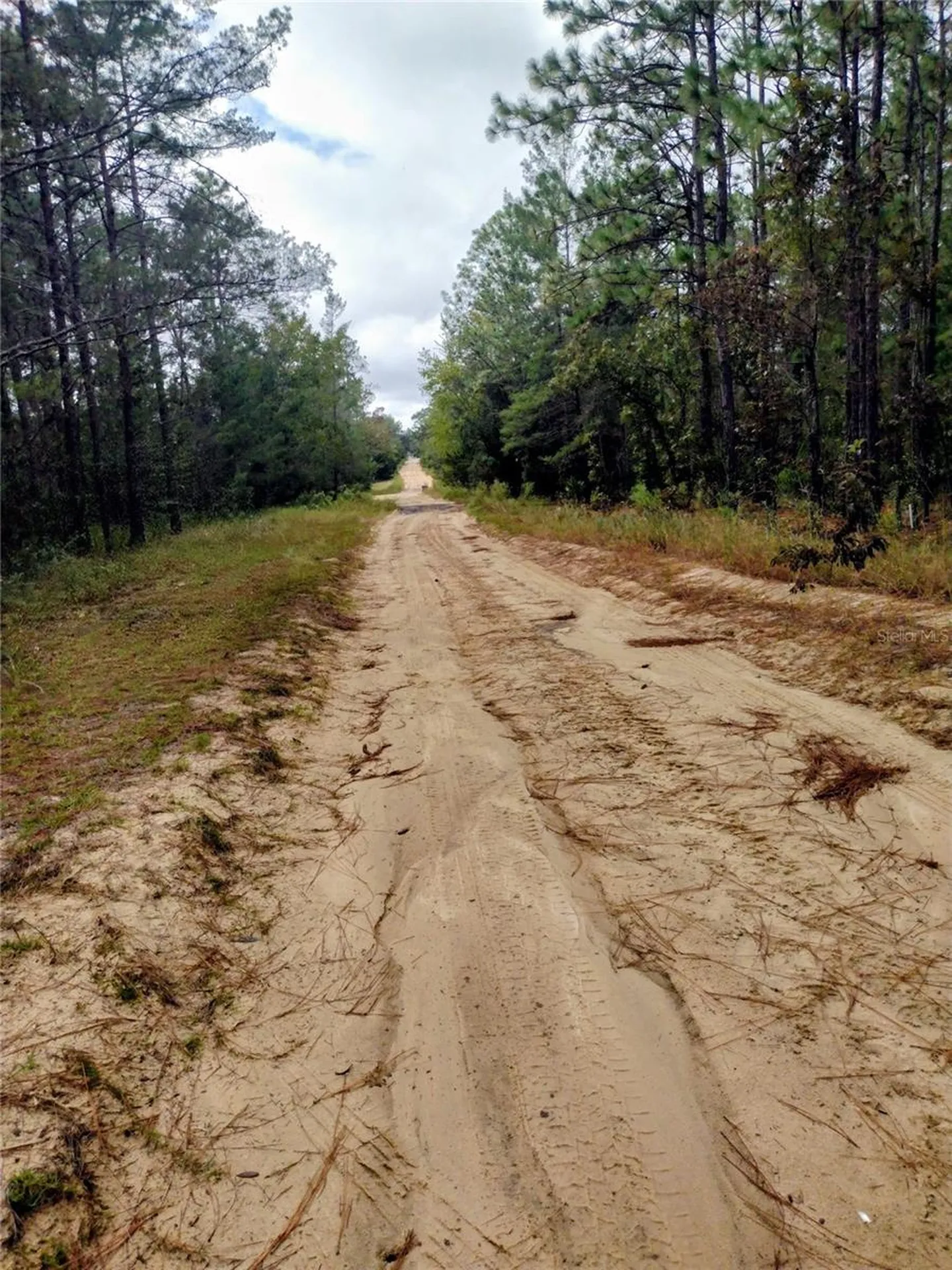 165 7th Way Interlachen FL 32148