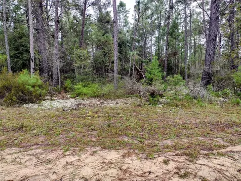 165 7th Way Interlachen FL 32148