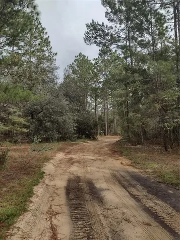 165 7th Way Interlachen FL 32148
