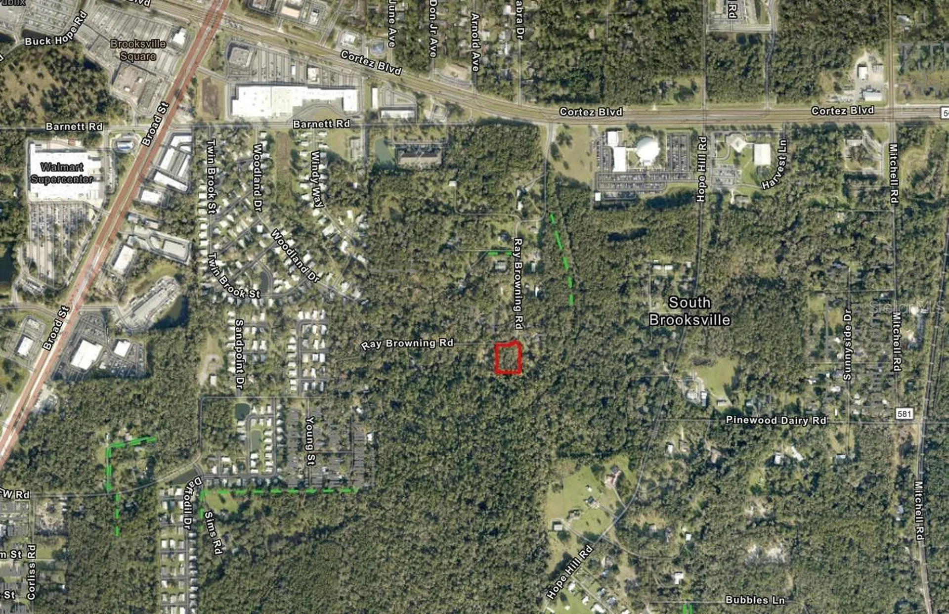 0 Ray Browning Road Brooksville FL 34601