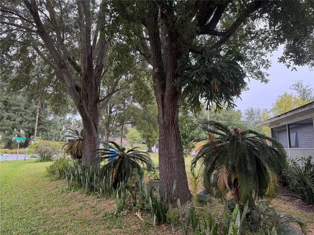 651 J W Jones Road Winter Garden FL 34787