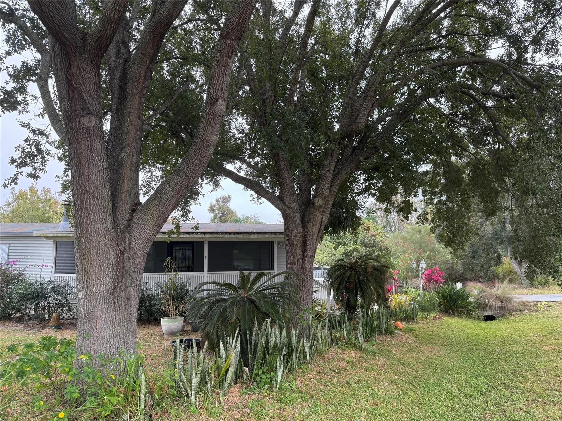 651 J W Jones Road Winter Garden FL 34787