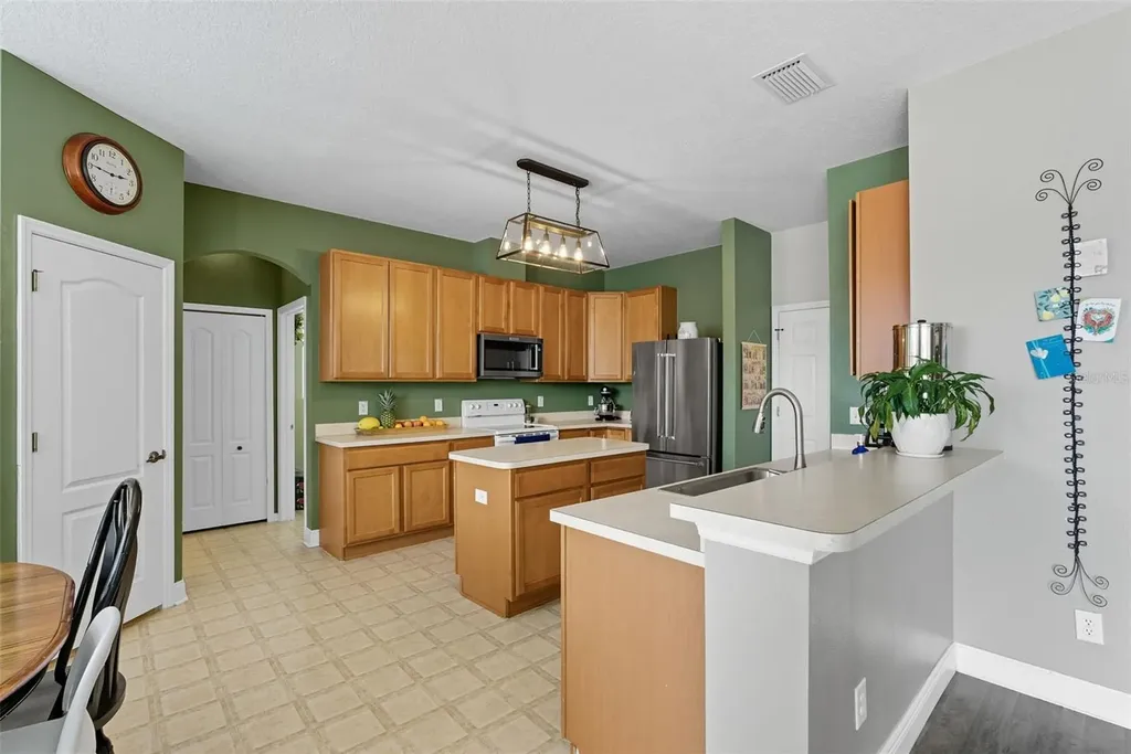 9208 Lost Mill Drive Land O Lakes FL 34638