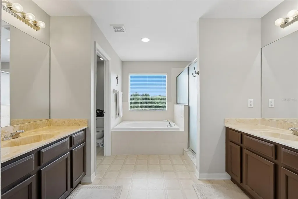9208 Lost Mill Drive Land O Lakes FL 34638