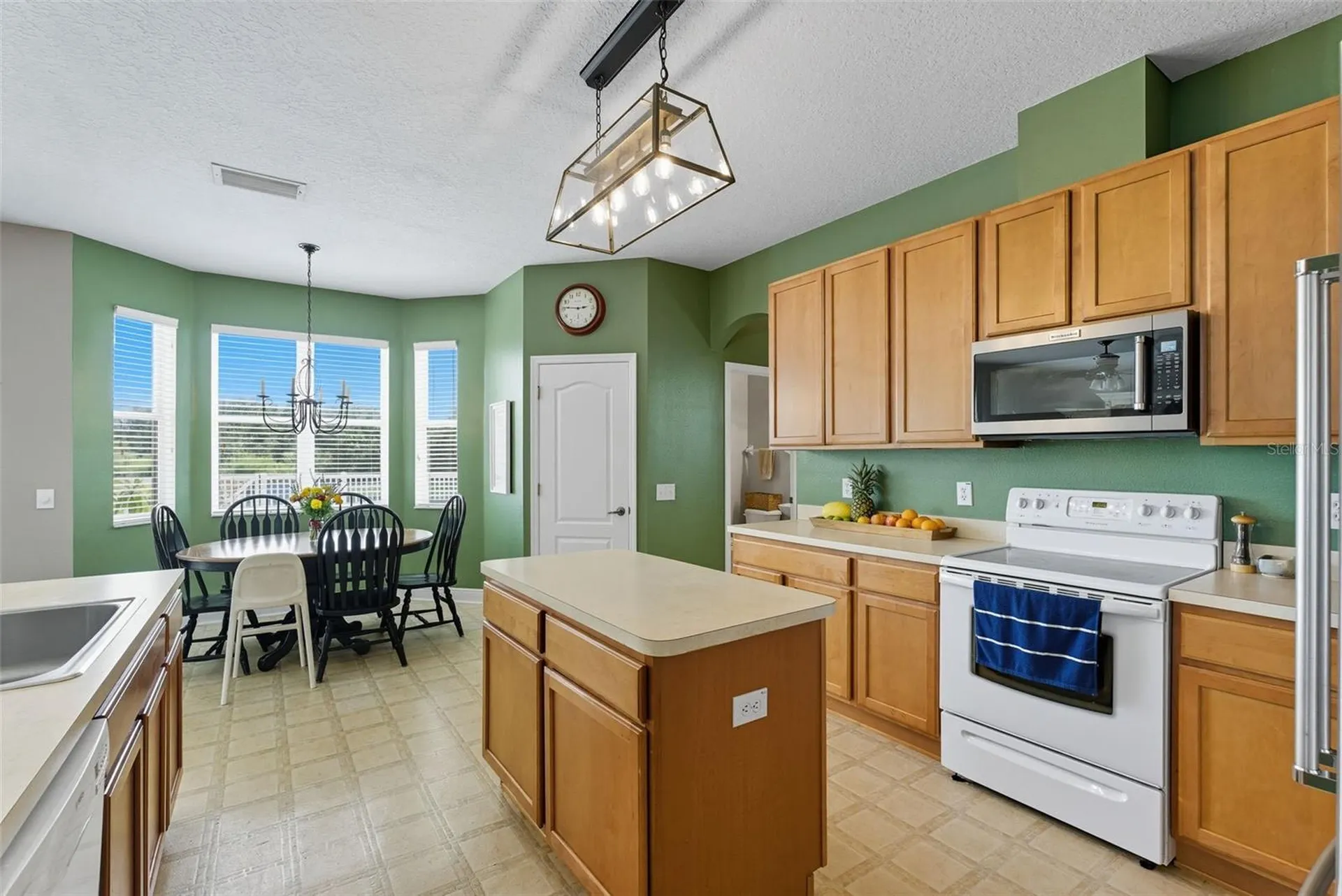 9208 Lost Mill Drive Land O Lakes FL 34638
