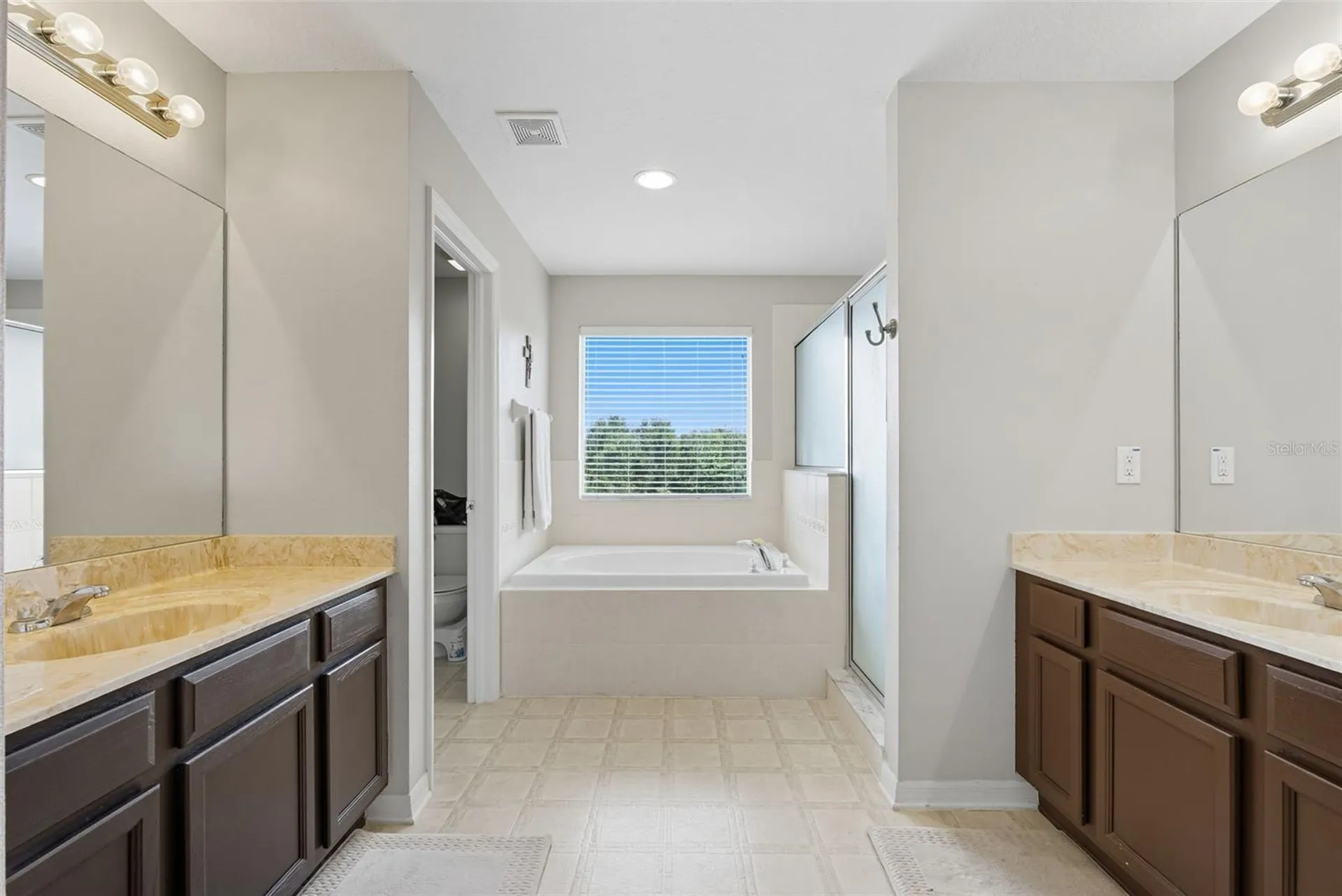 9208 Lost Mill Drive Land O Lakes FL 34638
