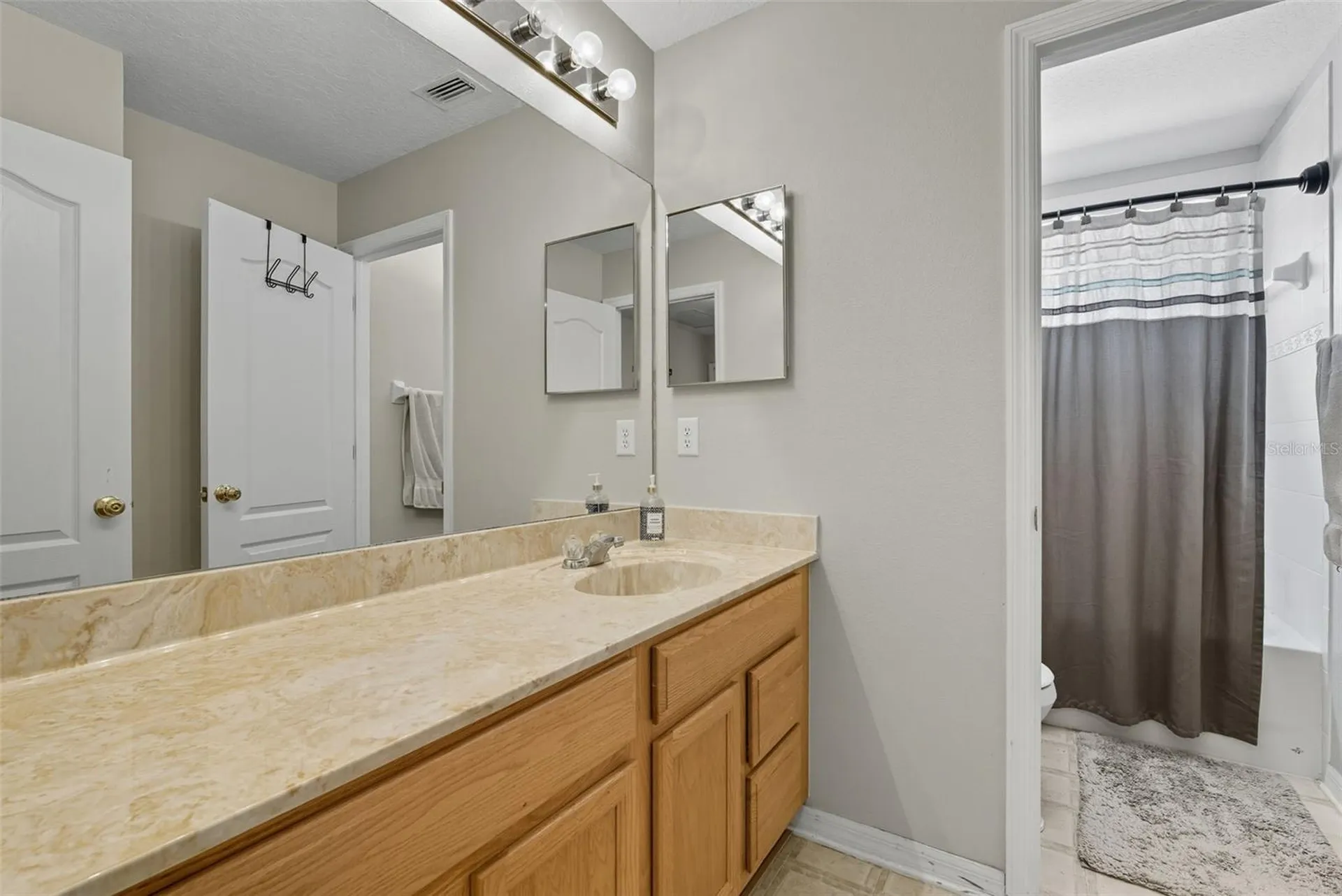 9208 Lost Mill Drive Land O Lakes FL 34638