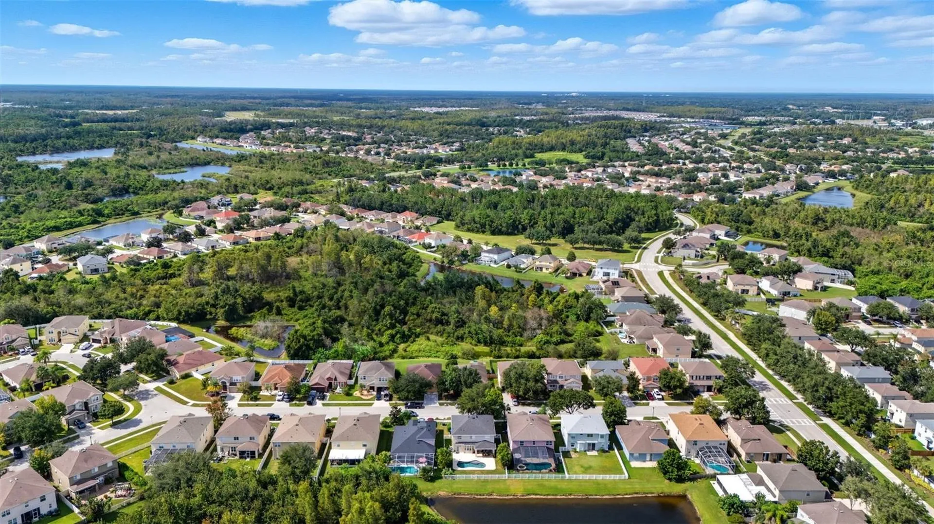 9208 Lost Mill Drive Land O Lakes FL 34638