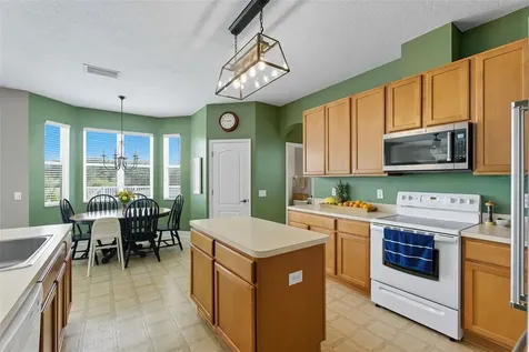 9208 Lost Mill Drive Land O Lakes FL 34638