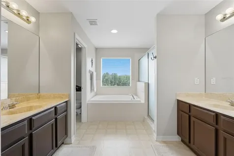9208 Lost Mill Drive Land O Lakes FL 34638