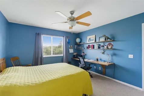 9208 Lost Mill Drive Land O Lakes FL 34638