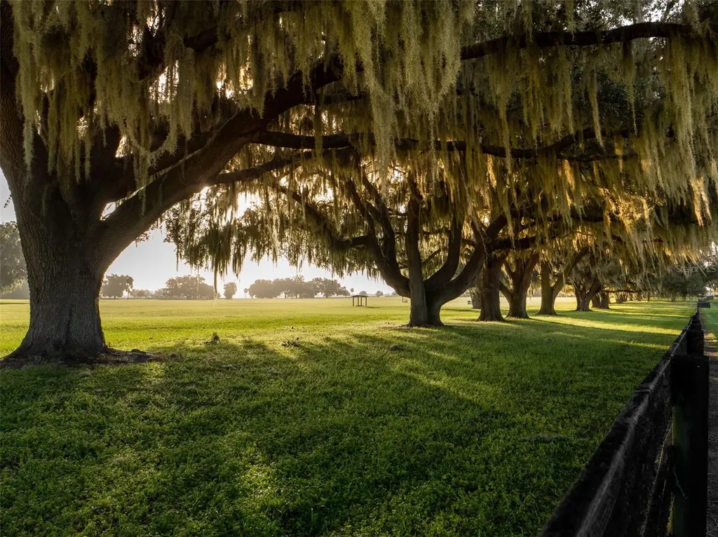 3682 W Highway 318 Citra FL 32113