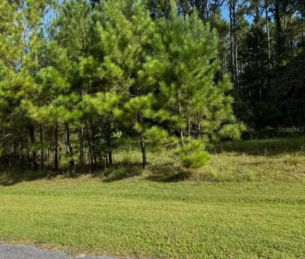 NW 148th Lane Williston FL 32696