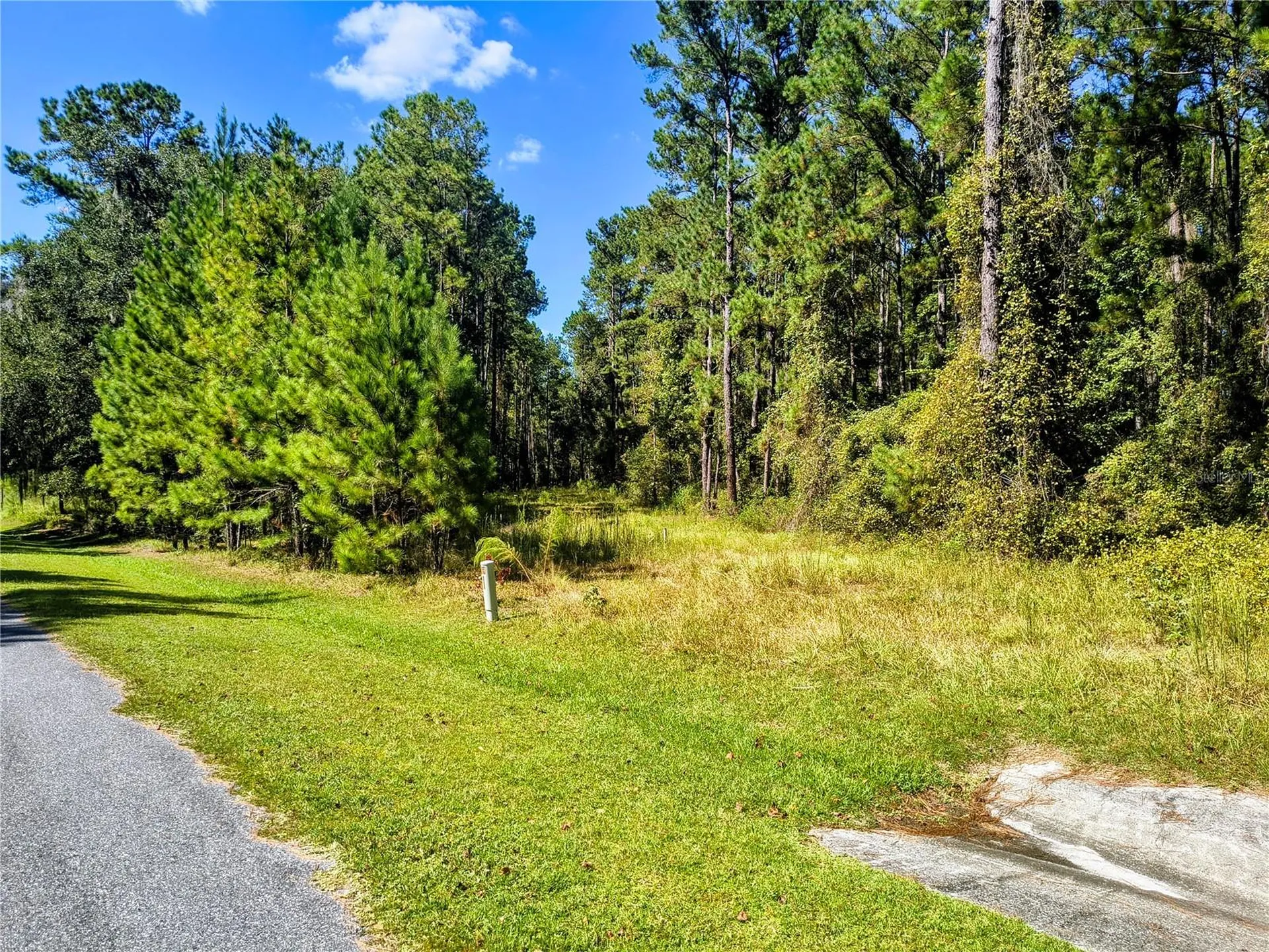 NW 148th Lane Williston FL 32696