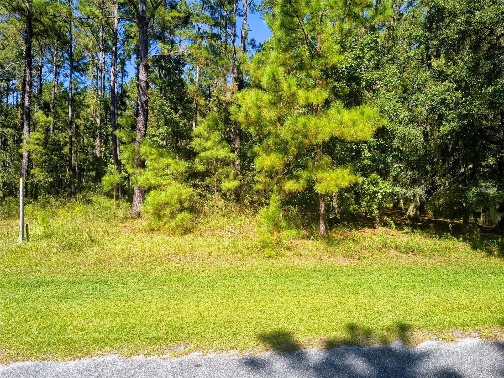 NW 148th Lane Williston FL 32696