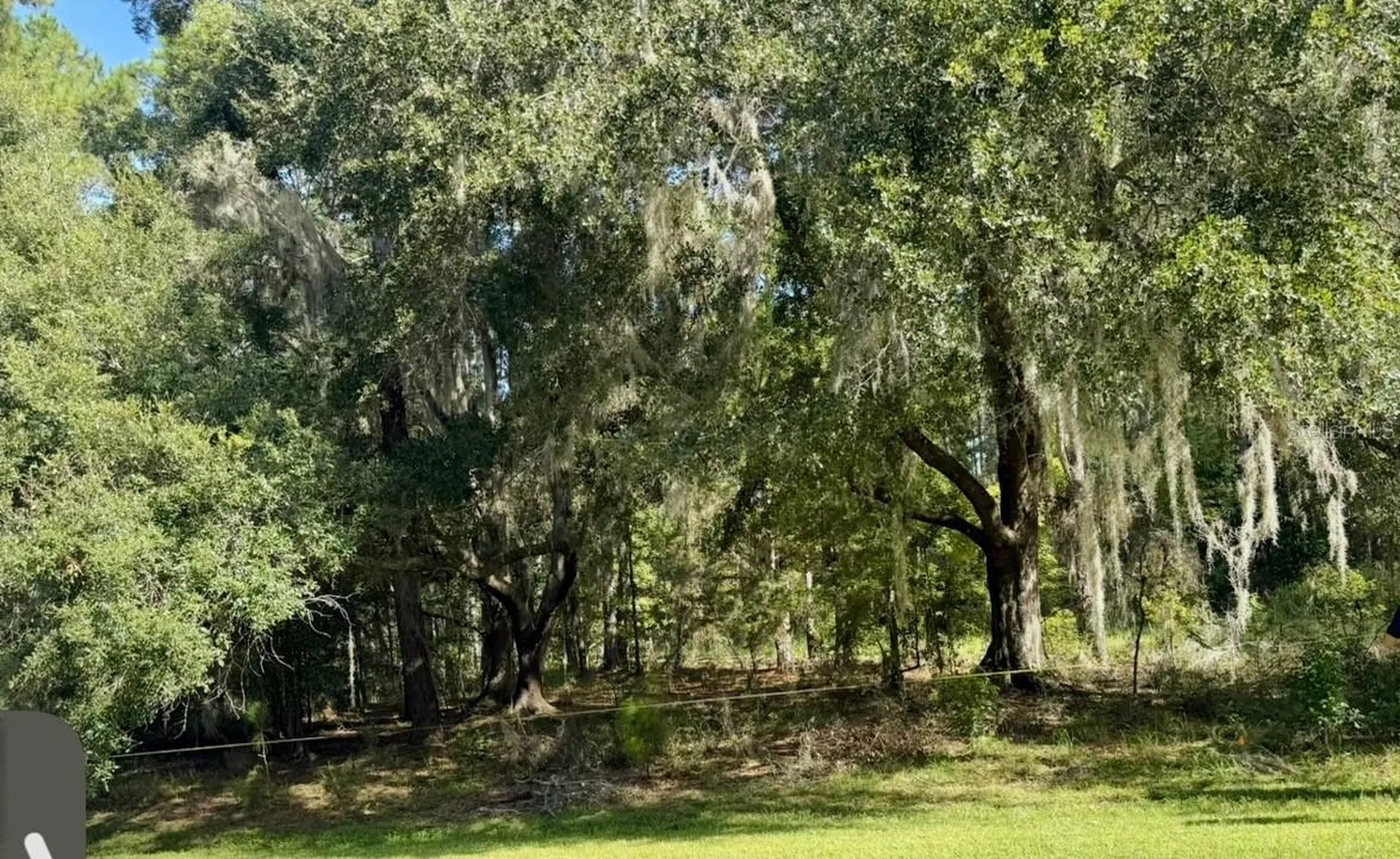 NW 148th Lane Williston FL 32696