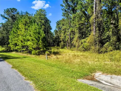 NW 148th Lane Williston FL 32696