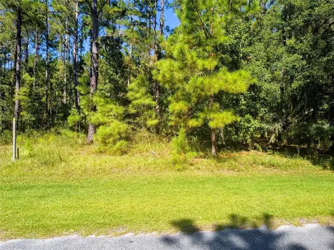NW 148th Lane Williston FL 32696