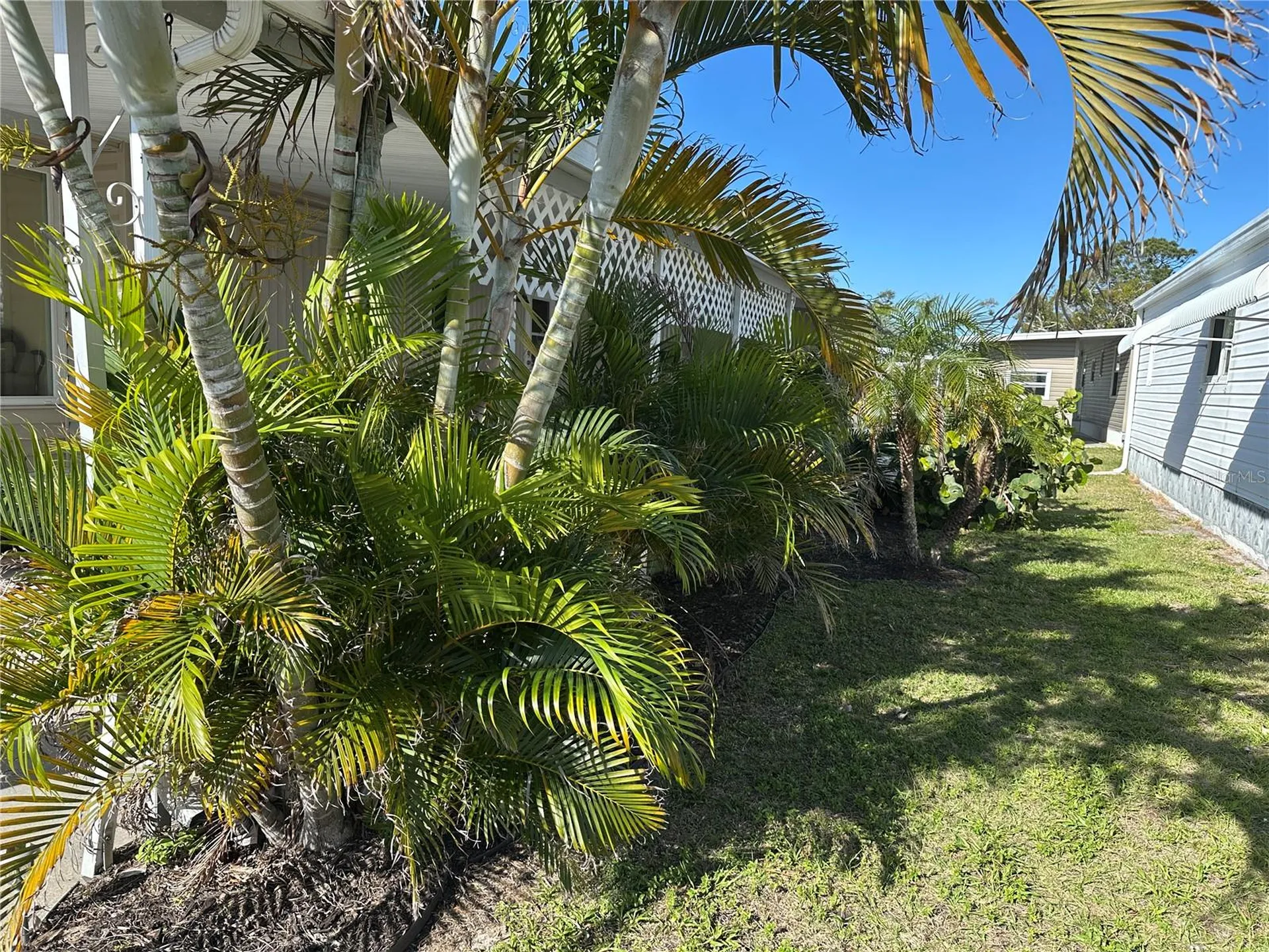 5800 Forsythia Road Venice FL 34293