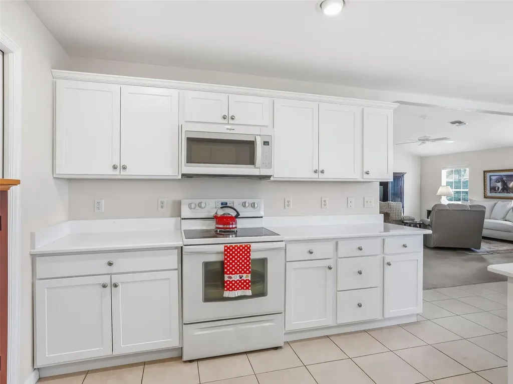 17414 SE 123rd Terrace Summerfield FL 34491