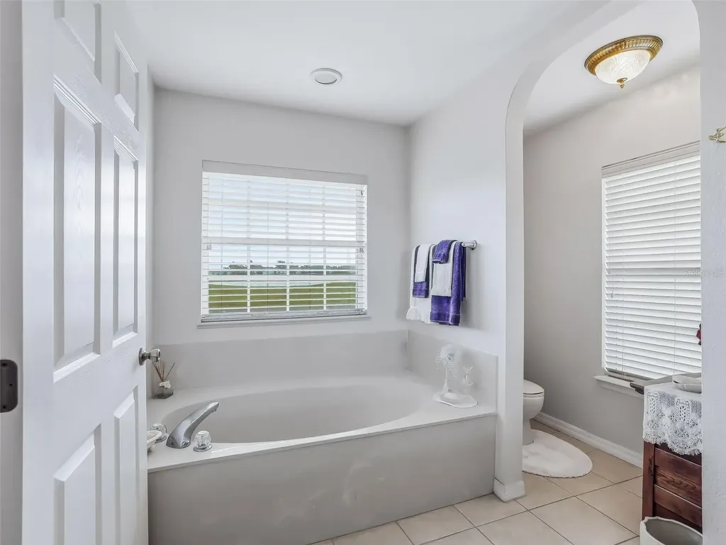 17414 SE 123rd Terrace Summerfield FL 34491