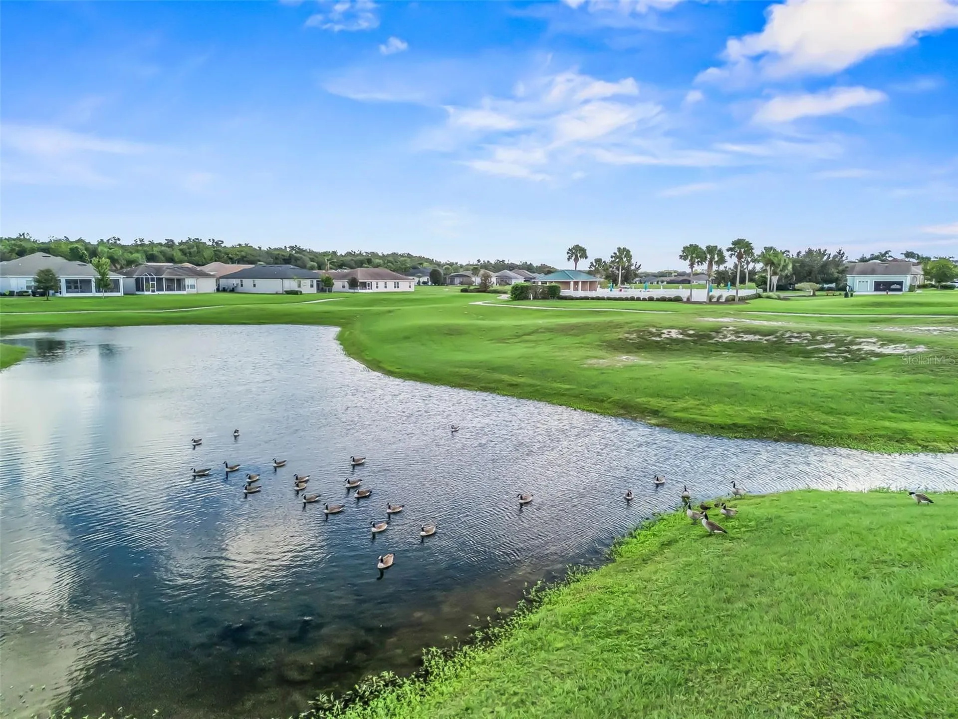 17414 SE 123rd Terrace Summerfield FL 34491