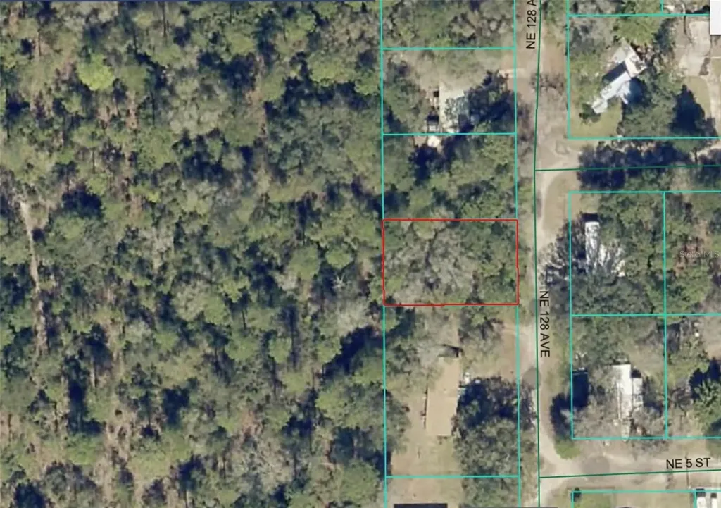Lot 8 NE 128th Avenue Silver Springs FL 34488